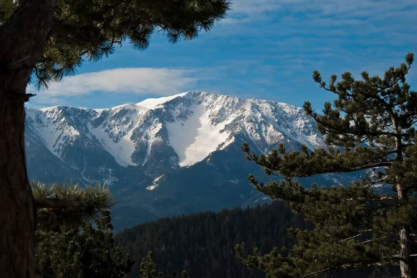 Schilderachtig Uitzicht Prachtige Natuur Berglandschap — Stockfoto