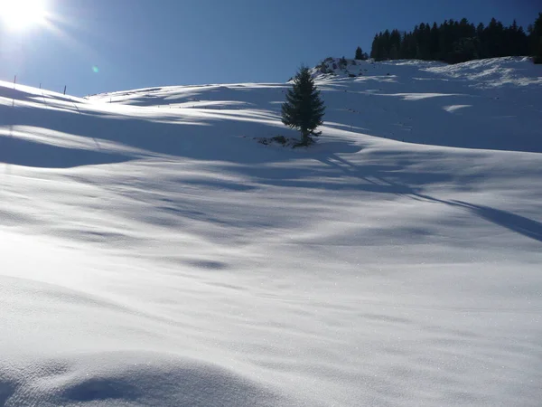 Úžasná Příroda Pohoří Alpy Pozadí — Stock fotografie