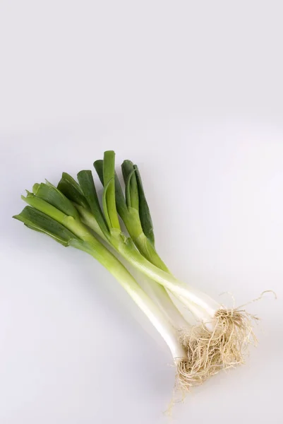 Cebolla Verde Fresca Sobre Fondo Blanco — Foto de Stock