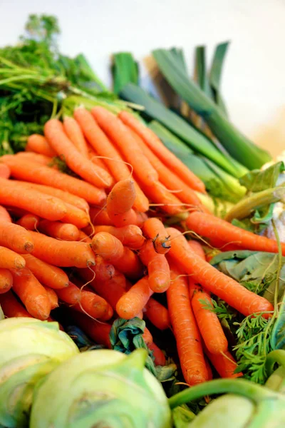Wortel Pertanian Sayuran Makanan — Stok Foto