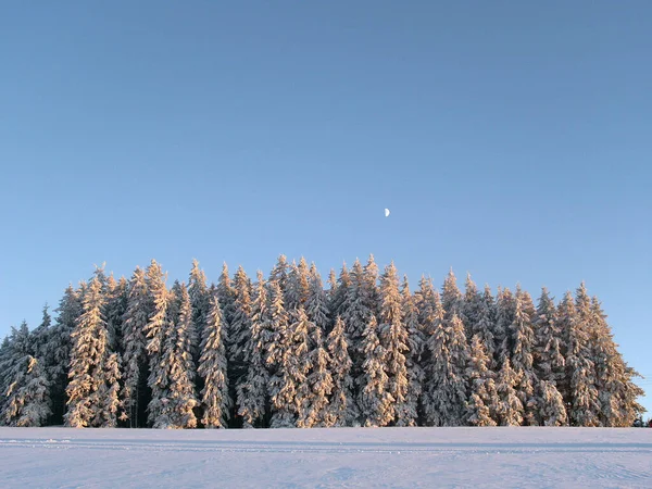 Winter Day Moon Hitntergrund — Stock Photo, Image