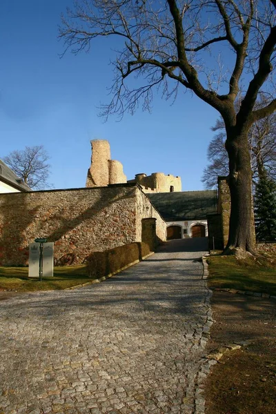Widok Ruiny Zamku Frauenstein — Zdjęcie stockowe