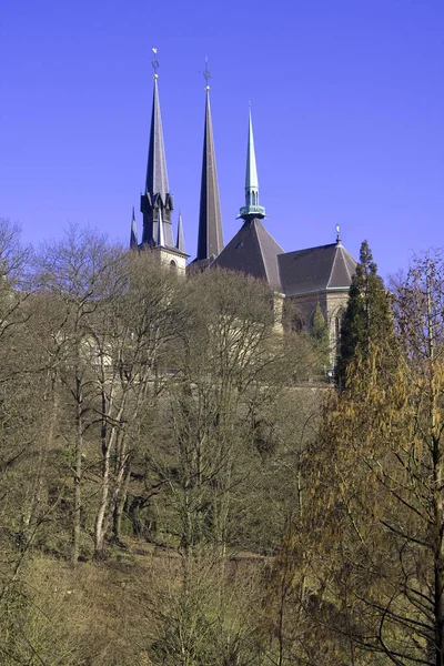 Vacker Utsikt Över Majestätisk Katedral Arkitektur — Stockfoto