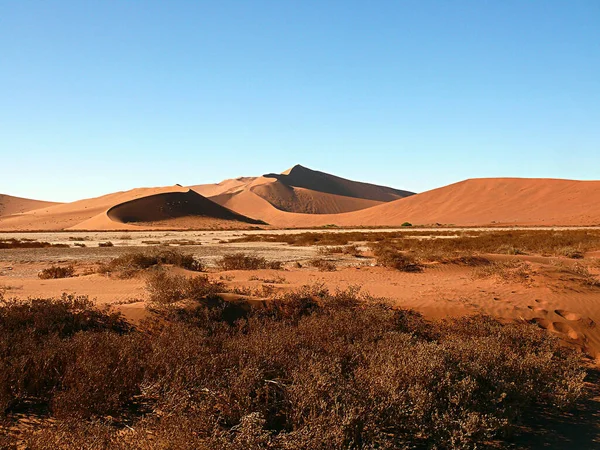 Panoramisch Uitzicht Duinen Selectieve Focus — Stockfoto