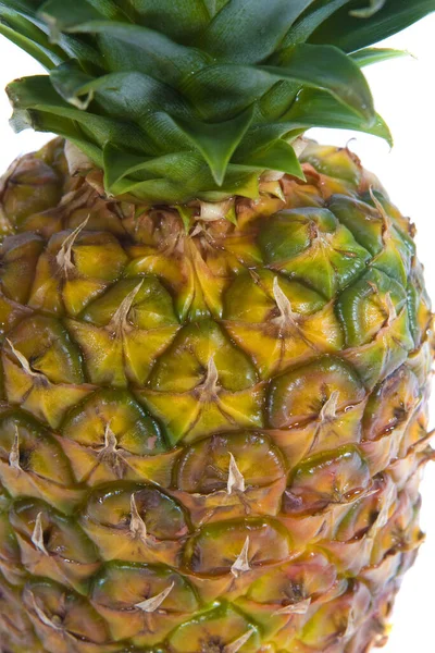 Fresh Pineapple Fruit Plant Stock Image