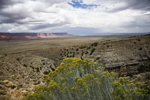 Vermillion Cliffs Arizona Amerikai Egyesült Államok — Stock Fotó