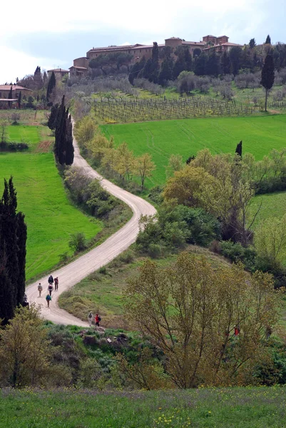 Escursioni Val Orcia — Foto Stock