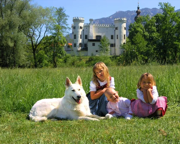 Νεαρή Οικογένεια Σκύλο Στο Πάρκο — Φωτογραφία Αρχείου
