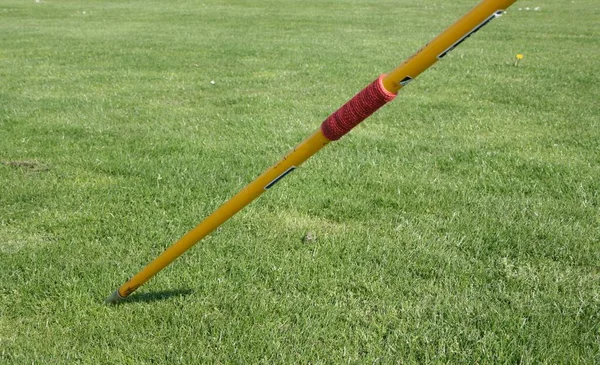 Golfball Auf Dem Rasen — Stockfoto