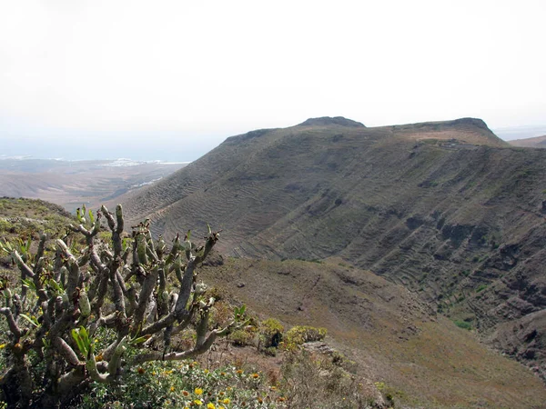 Keukenschrijvers Lanzarote Caleta Famara — Stockfoto