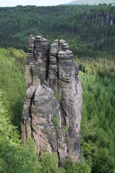 Bella Vista Della Scena Della Natura — Foto Stock