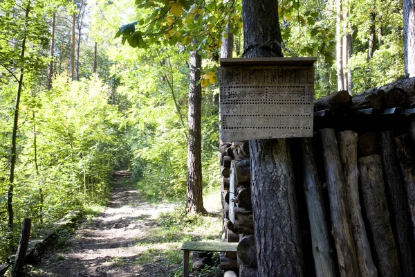 Insectenhotel Het Bos — Stockfoto