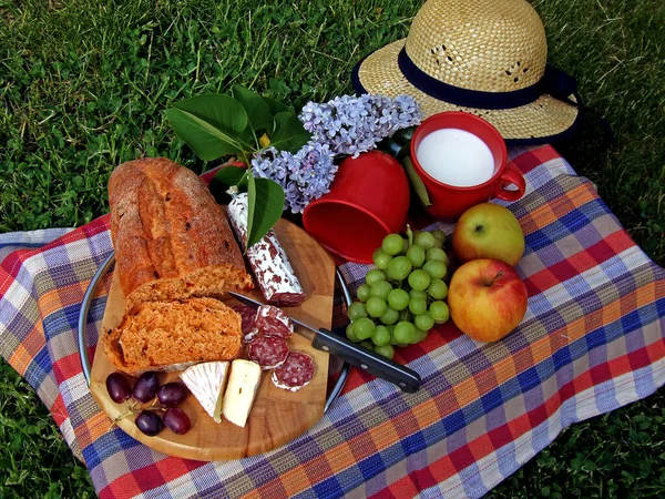 Concepto Picnic Comida Vacaciones — Foto de Stock