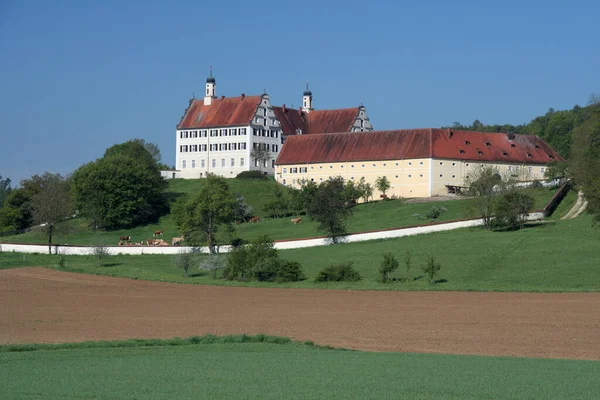 Vacker Utsikt Över Majestätisk Medeltida Slottsarkitektur — Stockfoto