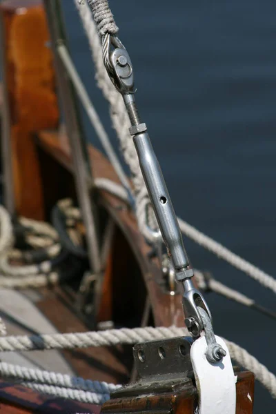 Schiffskäfer Mit Seilspanner — Stockfoto