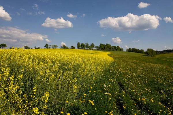 Bayerns Vackra Landområde Tyskland — Stockfoto