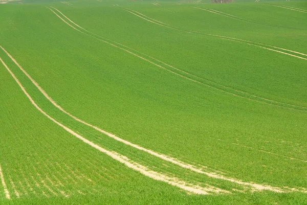 Vista Panoramica Dell Agricoltura Campagna — Foto Stock