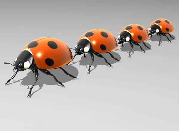 Familia Ladybug Aumento —  Fotos de Stock