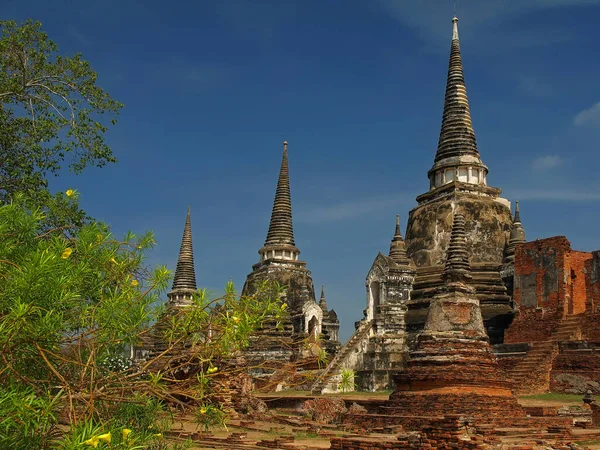 Wat Phra Sanphet Tempio Ayutthaya Thailandia — Foto Stock