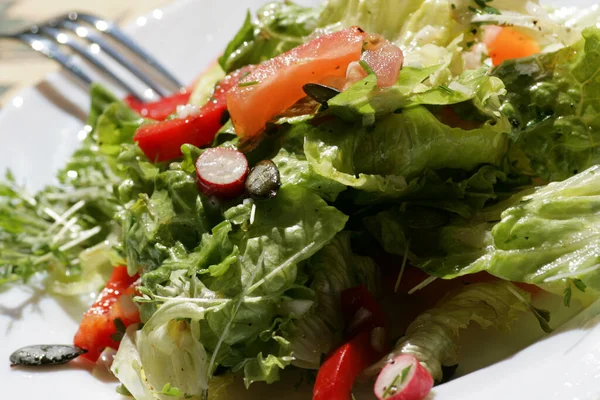 Närbild Färsk Välsmakande Sallad — Stockfoto