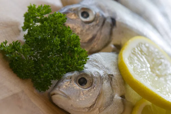 Sardines Middellandse Zee Voedsel — Stockfoto