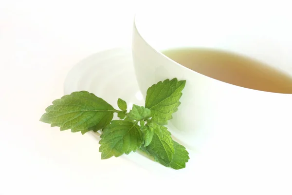 Delicioso Chá Ervas Perfumadas — Fotografia de Stock