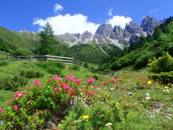 Los Alpes Son Sistema Montañoso Más Alto Extenso Que Encuentra —  Fotos de Stock