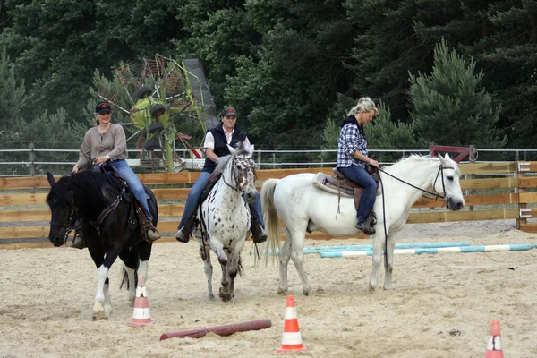 Cavalier Pendant Les Cours Conduite — Photo