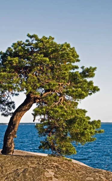 Landschaften Skandinavien — Stockfoto