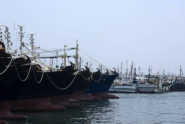釜山的渔船队 — 图库照片