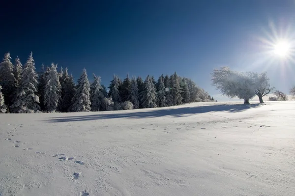 Прекрасный Вид Зимний Пейзаж — стоковое фото