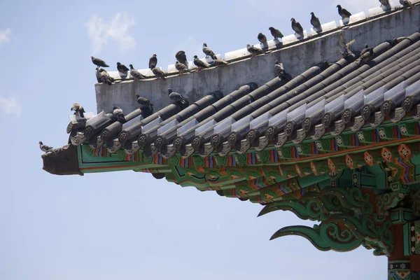 Detalhe Templo Busan — Fotografia de Stock