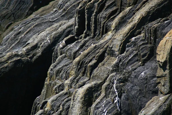 Perto Uma Parede Pedra — Fotografia de Stock