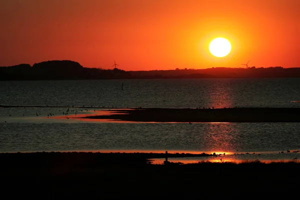 Aussichtsreiche Aussicht Auf Schöne Vögel Der Natur — Stockfoto