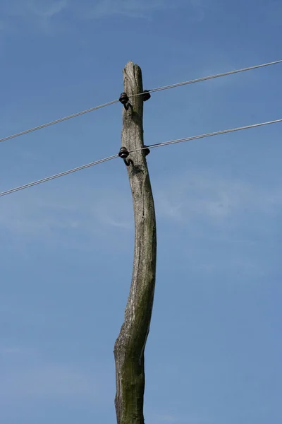 Linie Wysokiego Napięcia Linie Energetyczne — Zdjęcie stockowe