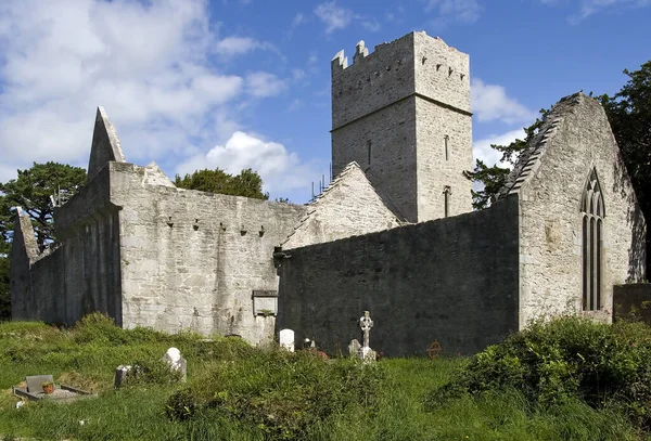 Carcassonne Fransa Şatosu Manzarası — Stok fotoğraf