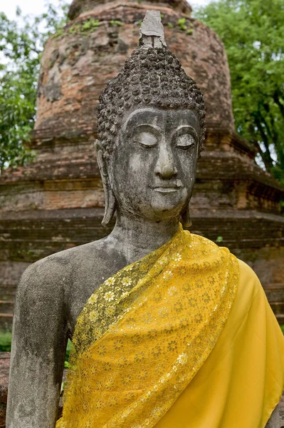 Buddha Szobor Ayutthaya Thaiföld — Stock Fotó