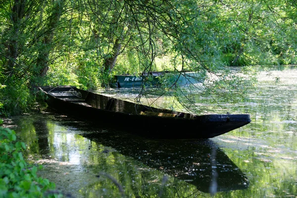 Schöne Aussicht Auf Die Natur — Stockfoto