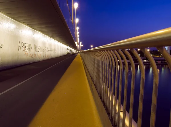 Пешеходная Дорожка Через Дунай — стоковое фото