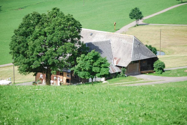 Landschappelijke Kijk Landbouw Selectieve Focus — Stockfoto