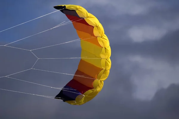 Flerfärgad Drake Framför Grå Himmel — Stockfoto