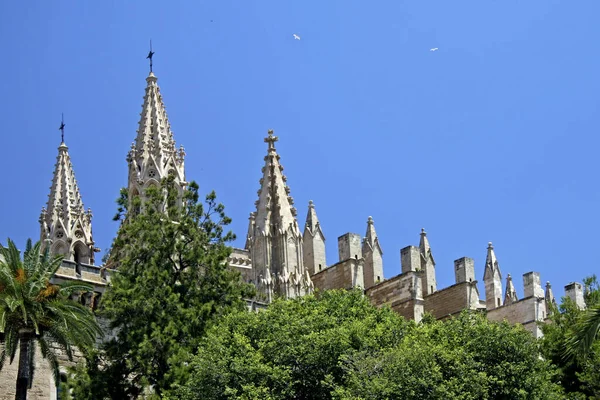 Türme Der Kathedrale Seu Auf Mallorca — Stockfoto