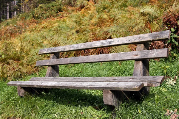 Schöne Aussicht Auf Die Natur — Stockfoto