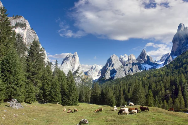 Malowniczy Widok Majestatyczny Krajobraz Dolomitów Włochy Obraz Stockowy