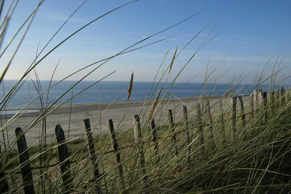 Beach Scene Natural Water — Stock Photo, Image