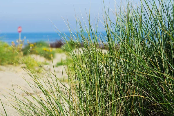 Beach Scene Natural Water — Stock Photo, Image