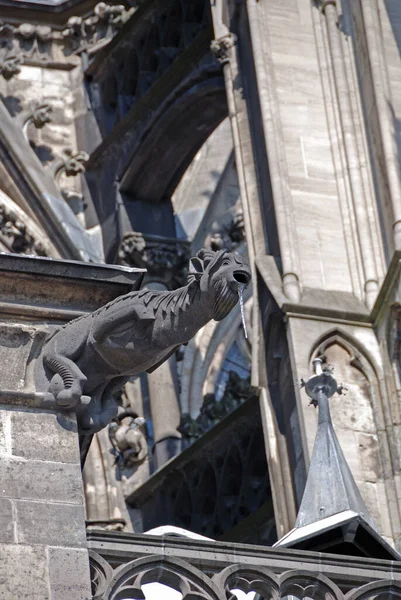 Gárgolas Catedral Colonia — Foto de Stock