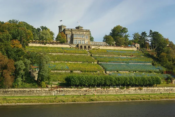 Dresde Lingnerschloss Dresde Castillo Lingnerschloss —  Fotos de Stock