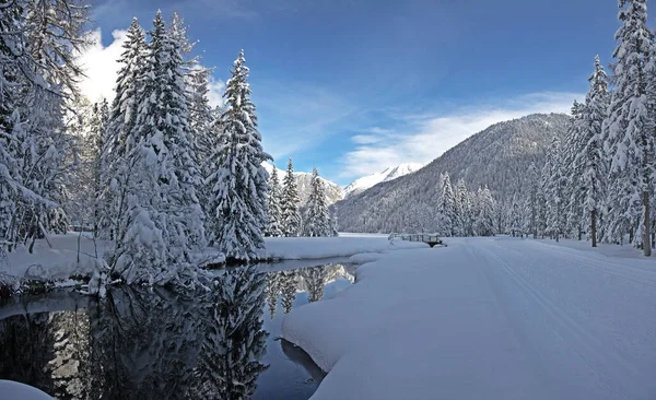 Kış Büyüsü Karla Kaplı Doğa — Stok fotoğraf