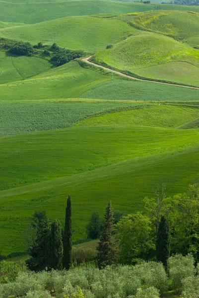 Peisaj Toscana Italia Peisaj Toscana Italia — Fotografie, imagine de stoc